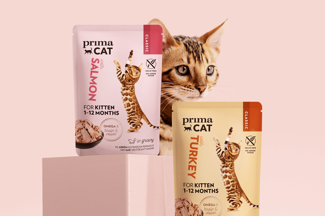 PrimaCat kitten feeding with Classic pouches