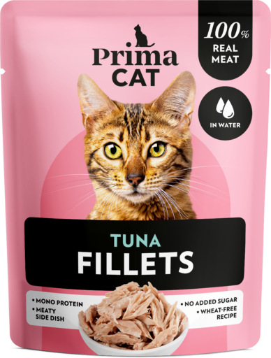 Tonnikalaa vedessä